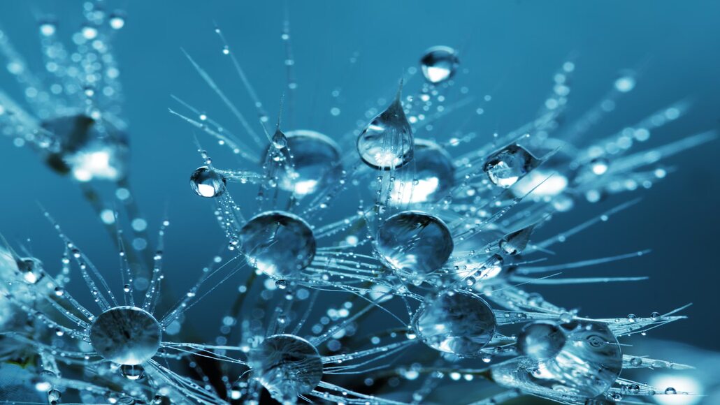 Hydrogen Energy