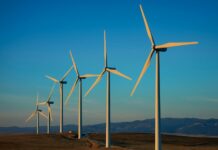 Oman to Advance Green Hydrogen for Future Energy Needs Advance Green Hydrogen