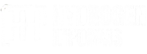 Horizons clean energy expansion India conference