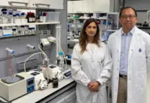 Unified Sustainable Seawater-To-Hydrogen System Introduced